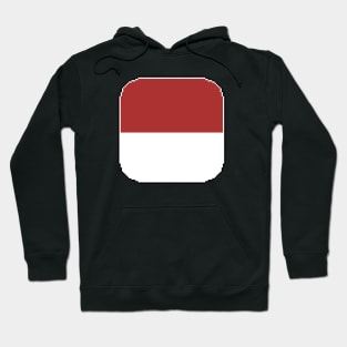 flag of indonesia Hoodie